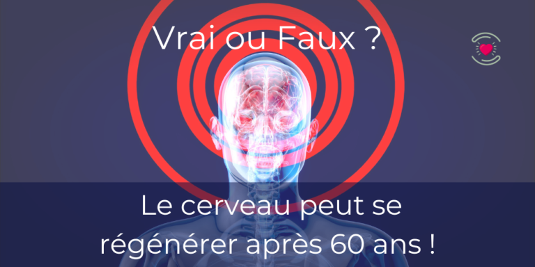 Le cerveau peut-il se régénérer après 60 ans ? Ce que disent les sciences
